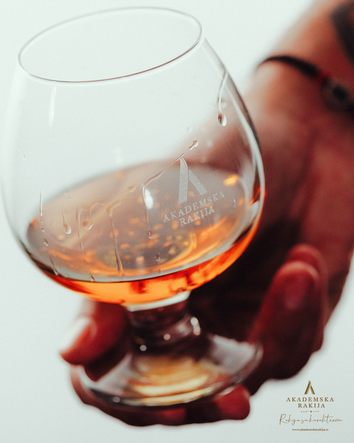 Akademska Rakija Gold „Pflaume“